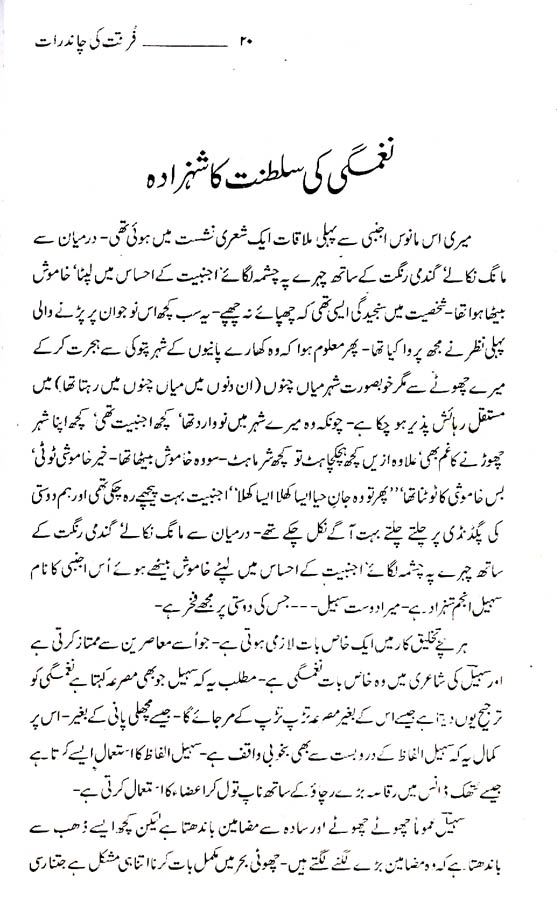 page020.jpg